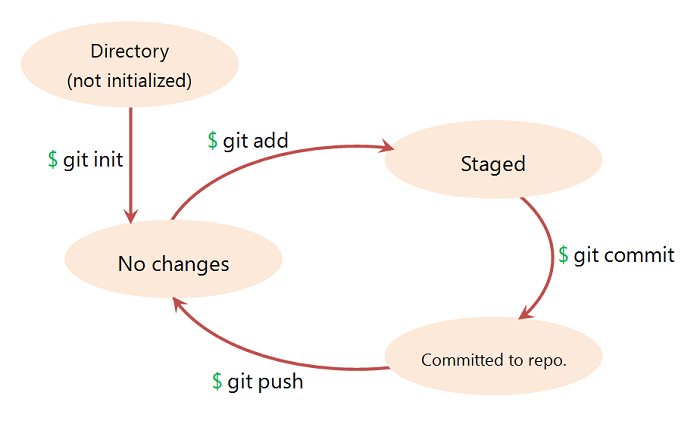 lifecycle